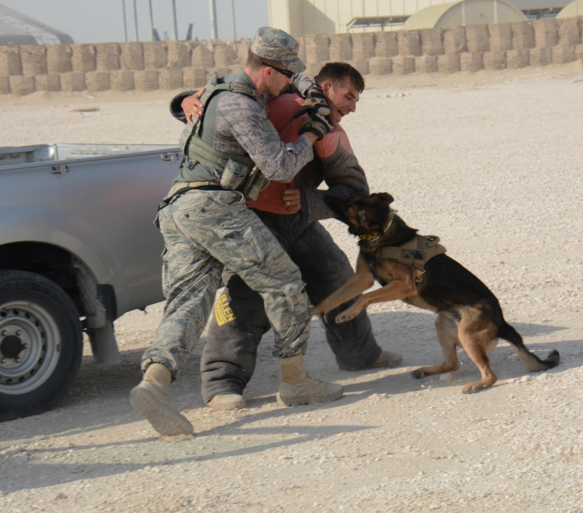 A military working dog and his handler, both assigned to the 379th Expeditionary Security Forces Squadron, take a subject to the ground during an interagency training exercise at Al Udeid Air Base, Qatar Oct. 27. The exercise featured professionals from three 379th Air Expeditionary Wing units including explosive ordnance technicians, security forces patrolmen and firefighters. (U.S. Air Force photo by Tech. Sgt. James Hodgman)
