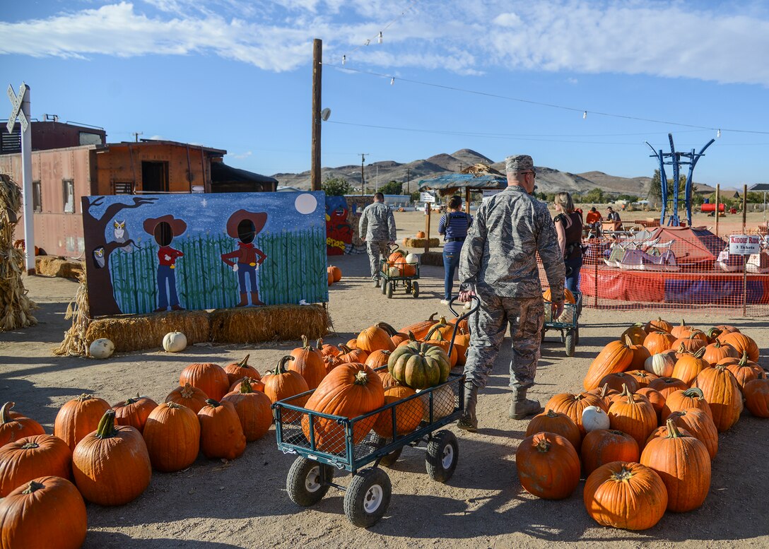 Tapia’s Pumpkin Patch in Rosamond, California, donated around 65 pumpkins to the 412th Security Forces Squadron Oct. 28 for their children’s Halloween party to be held Oct. 30 at the Chapel 1 Annex. (U.S. Air Force photo by Rebecca Amber)