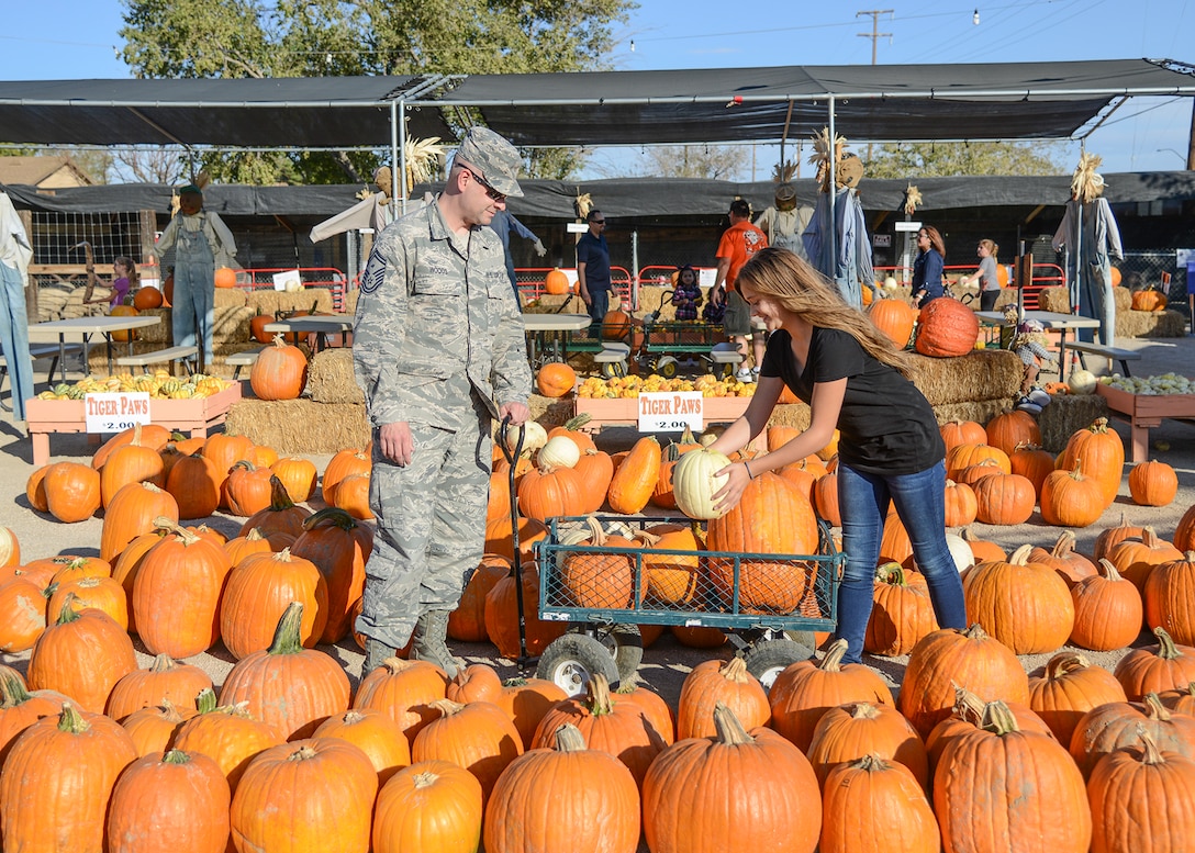 Senior Master Sgt. Deshan Woods, 412th Security Forces Squadron first sergeant, and his daughter, Summer, choose pumpkins for the 412th Security Forces children’s Halloween party at Tapia’s Pumpkin Patch in Rosamond, California. (U.S. Air Force photo by Rebecca Amber)