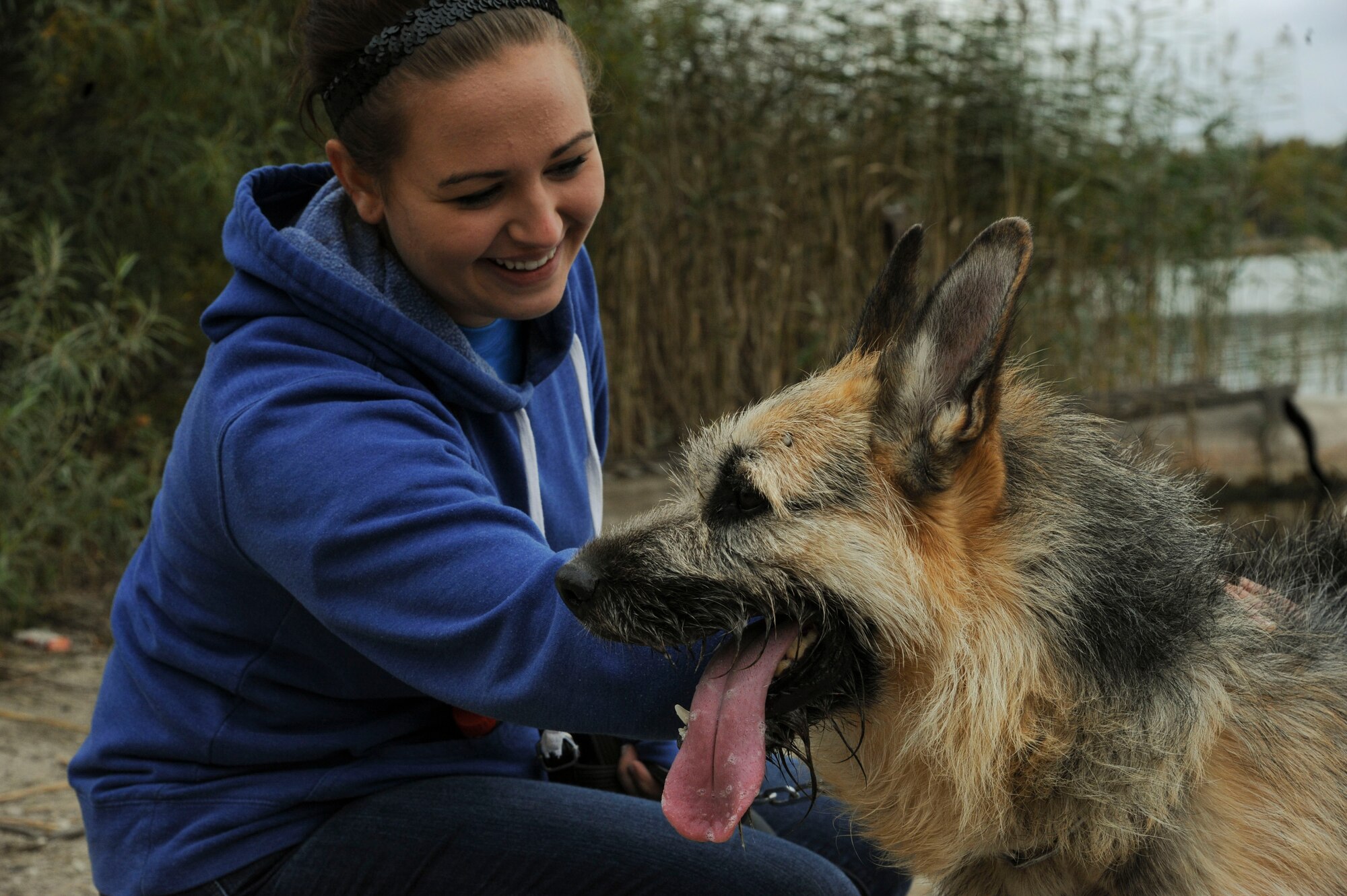 U.S. Air Force Airman 1st Class Lisa Wippel, 74th Expeditionary Fighter Squadron munitions systems conventional crew member, pets a homeless dog while volunteering at a local animal shelter in Tallinn, Estonia, Oct. 10, 2015. Wippel is deployed from Moody Air Force Base, Ga., as part of a theater security package in support of Operation Atlantic Resolve. (U.S. Air Force photo by Andrea Jenkins/Released)