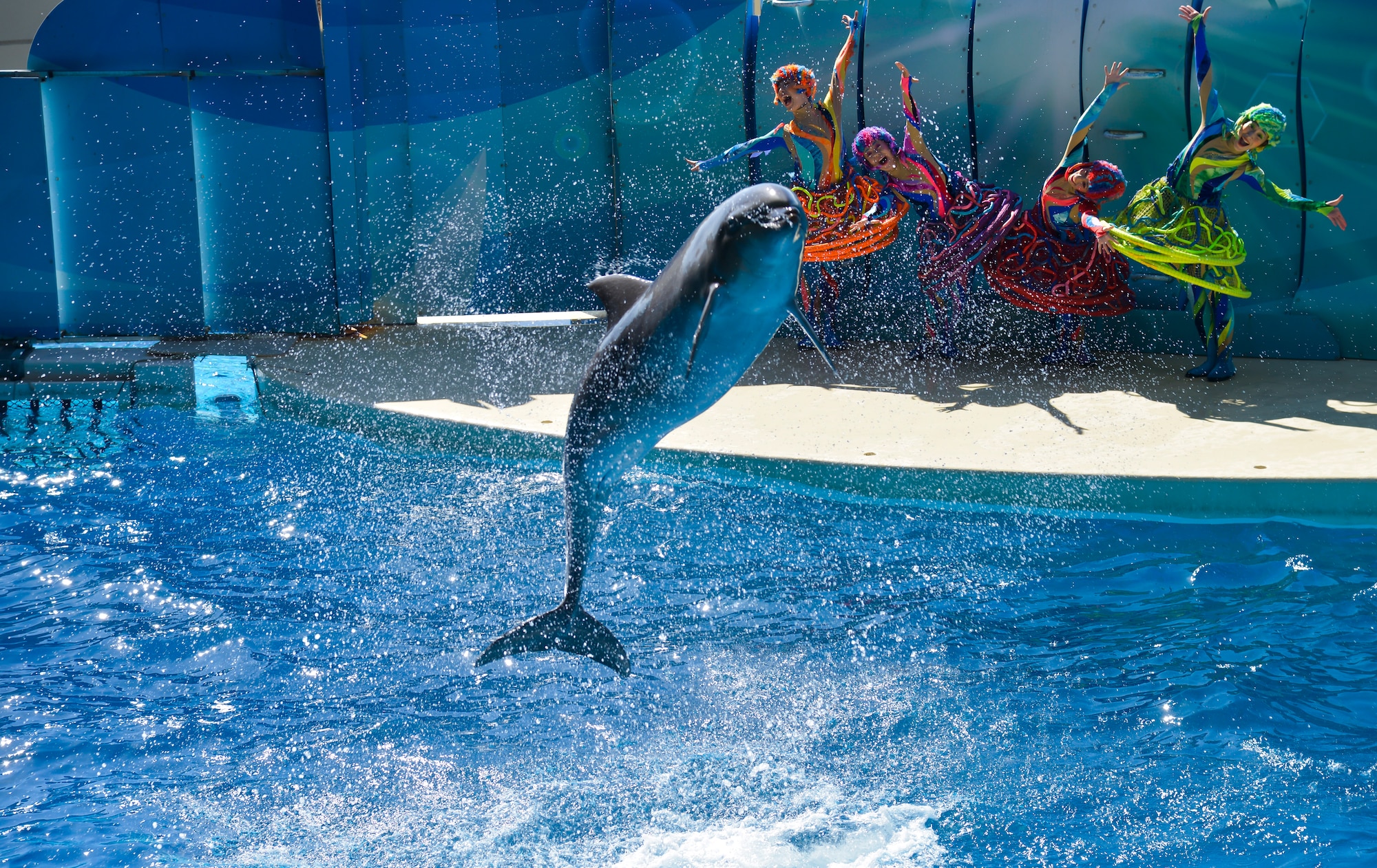A dolphin jumps out of the water as entertainers dance during a dolphin show at the Enoshima Aquarium in Fujisawa City, Japan, Oct. 25, 2015. As viewers watch the performance, they can spot Enoshima Island and Mt. Fuji in the distance. (U.S. Air Force photo by Senior Airman David Owsianka/Released)