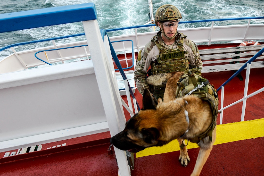 A Coast Guardsman and his military working dog search a boat while participating in a training evolution in Hyannis, Mass., Oct., 22, 2015. U.S. Coast Guard photo by Petty Officer 3rd Class Ross Ruddell