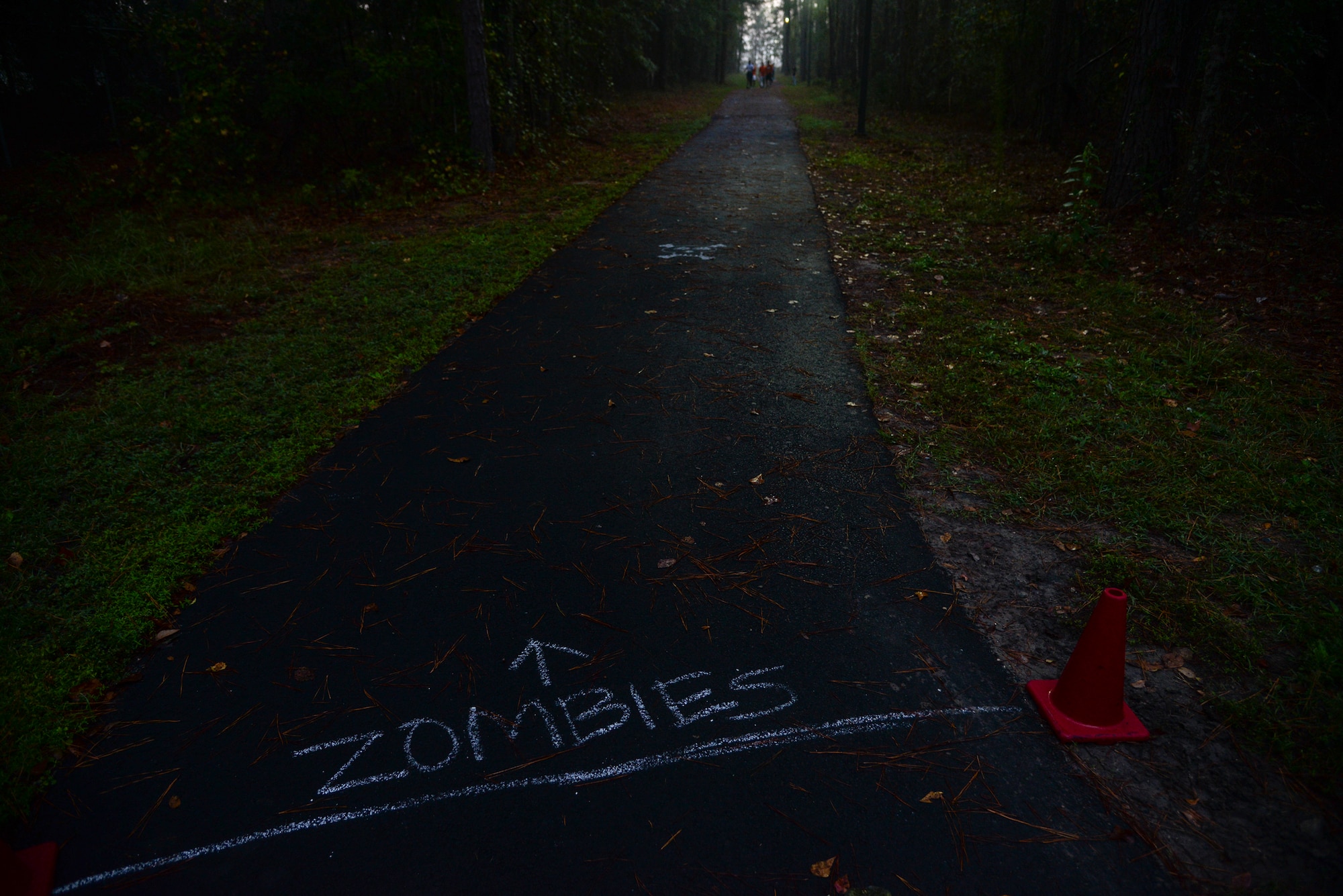 A group of runners make their way through the Zombie Zone during a Zombie Run, Oct. 30, 2015, at Moody Air Force Base, Ga. Participants were encouraged to wear costumes during the second annual 5K run. (U.S. Air Force photo by Airman 1st Class Janiqua P. Robinson/Released)