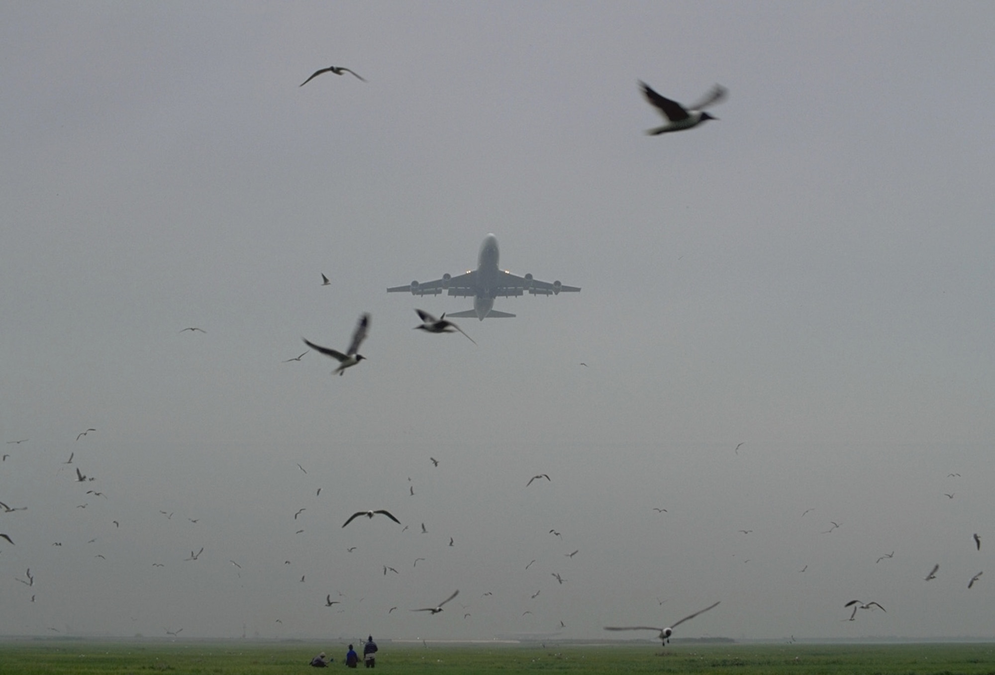 It is the responsibility of the Tinker Bird Aircraft Strike Hazard group to keep the airfield free from birds that can cause damage to flying aircraft. Their task is much more difficult in the spring and fall, when migratory birds fly through Tinker’s air space. (Air Force photo by Kelly White/Released)