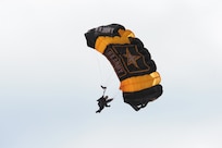 A member of the U.S. Army Golden Knights performs at the 2015 Joint Base San Antonio Air Show and Open House Oct.31,2015, at JBSA-Randolph. The United States Army Parachute Team, nicknamed and commonly known as the Golden Knights, is a demonstration and competition parachute team of the United States Army.The demonstration teams, which use five dedicated aircraft, perform at more than 100 events per year. (U.S. Air Force photo by Joel Martinez/Released)