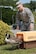 U.S. Army Staff Sgt. Robert Parrott, Veterinary Clinic NCO in charge, releases a goose on base Aug. 31 after clinic officials provided treatment. The Vet Clinic coordinated with Tufts Wildlife Clinic to treat the goose after it was found on base and determined to need care. (U.S. Air Force photo by Mark Herlihy)