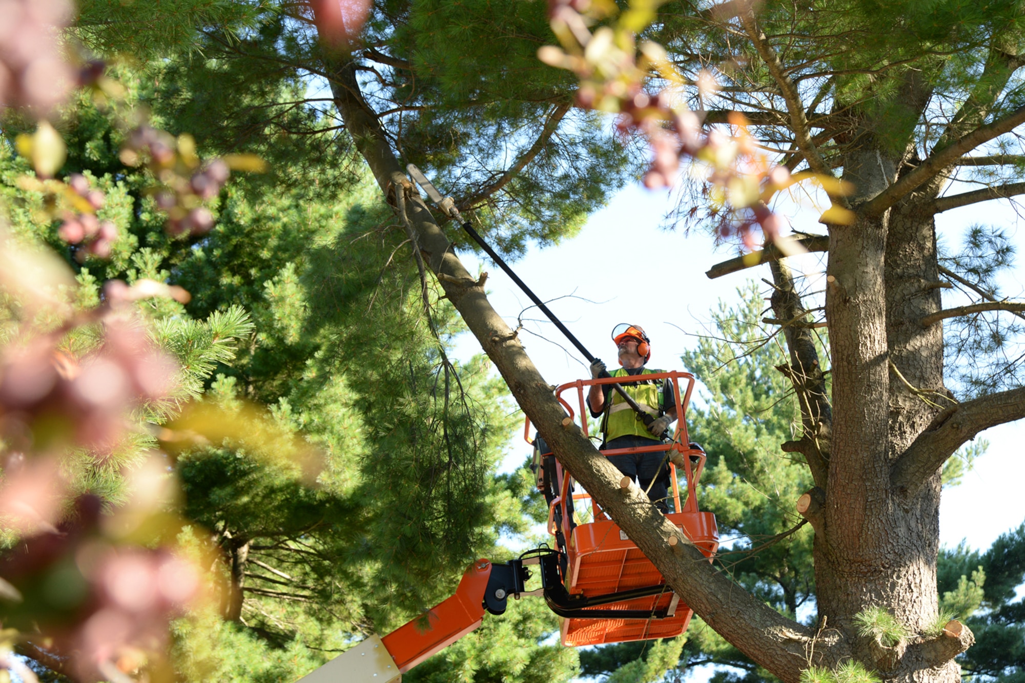 Steve Morris, 66th Civil Engineering Division grounds maintenance, cuts a branch off a tree on base Aug. 27. The tree was removed for safety reasons and to prevent future damage to nearby Building 1212. (U.S. Air Force photo by Linda LaBonte Britt)