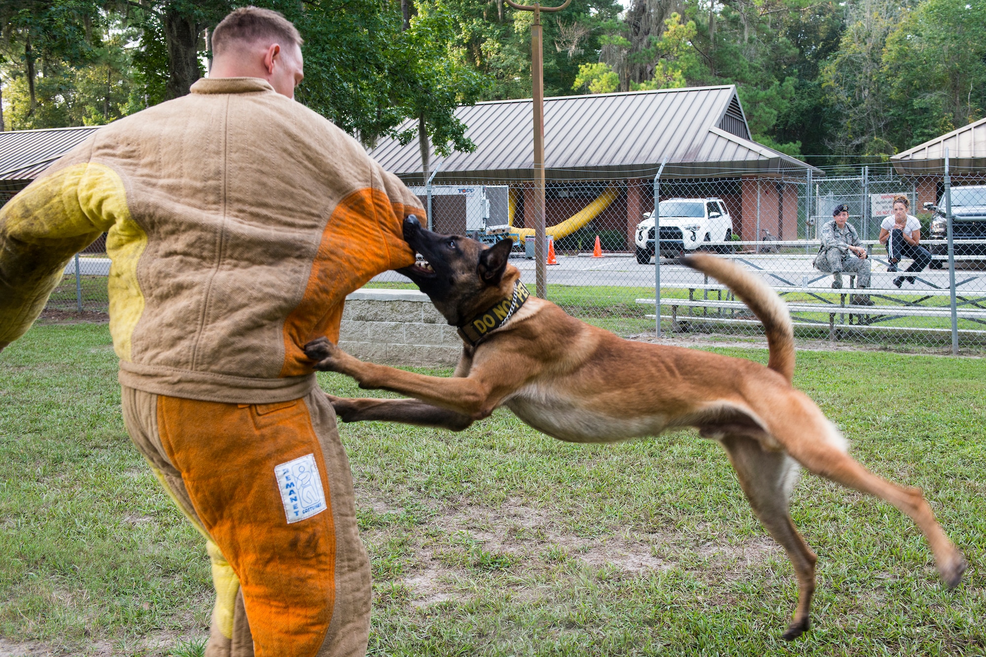 Military Working Dog Ttoby bites U.S. Air Force Staff Sgt. Tyler Catey, 23d Security Forces Squadron MWD handler, during controlled aggression training Aug. 26, 2015, at Moody Air Force Base, Ga. MWDs train to target different body parts when subduing a suspect. (U.S. Air Force photo by Airman 1st Class Ceaira Tinsley/Released)