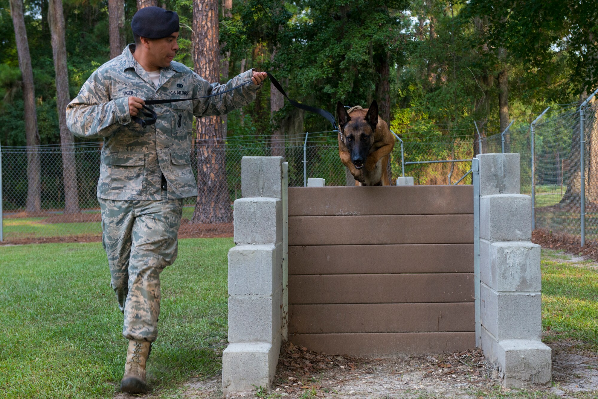 U.S. Air Force Staff Sgt. Devin Tiger, 23d Security Forces Squadron military working dog handler, and MWD Ttoby participate in an obstacle course Aug. 26, 2015, at Moody Air Force Base, Ga. The course is designed to teach MWDs obedience and build their confidence. (U.S. Air Force photo by Airman 1st Class Ceaira Tinsley/Released)