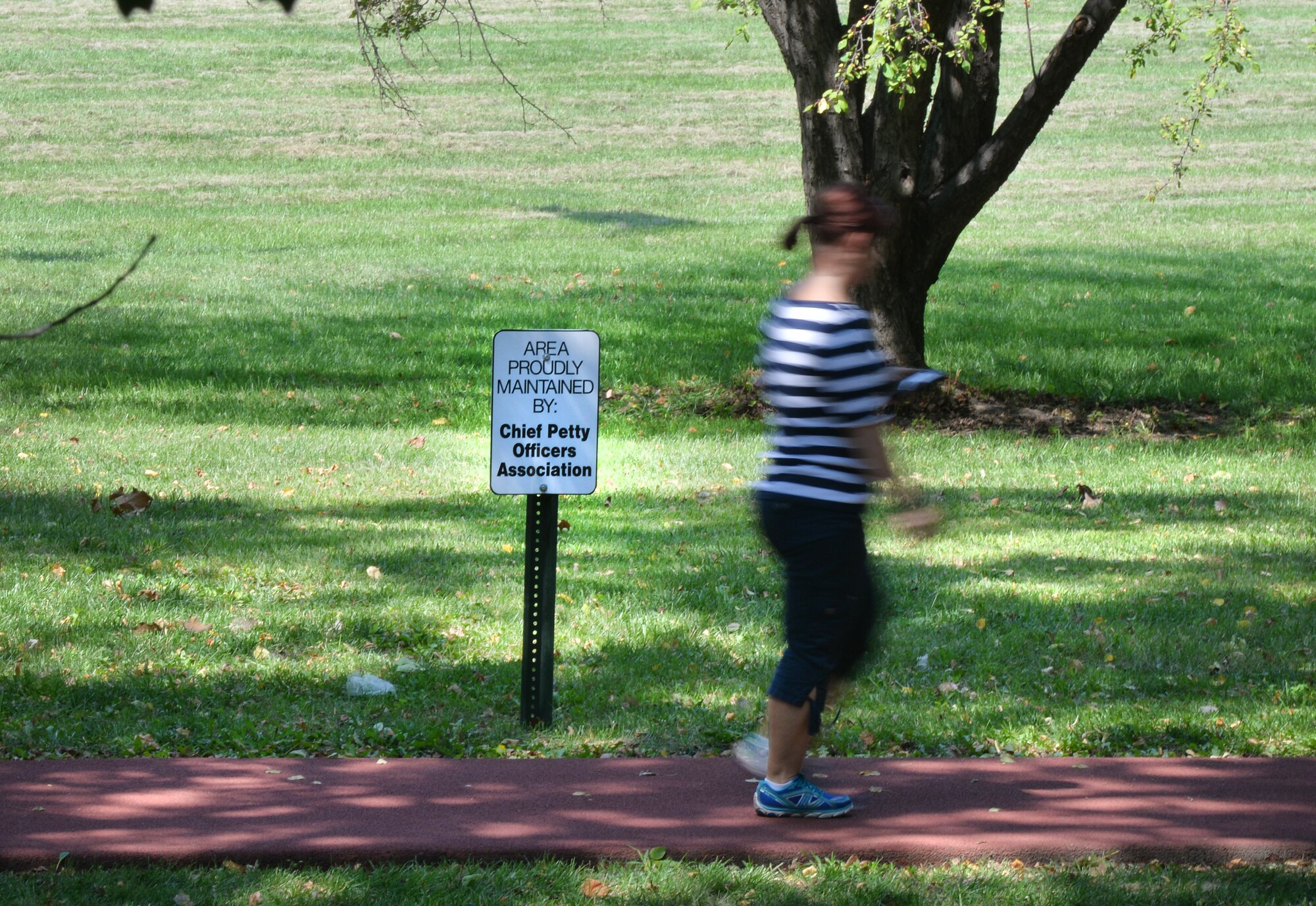 Several Team Offutt units and professional organizations have committed to the base pride initiative, a program designed to offset adjustments made after reductions in funding for  ground maintenance. Frequent visitors to the Offutt Parade Field may have noticed the addition of new sign posts indicating which organizations are responsible for upkeep in  that area. The historic grounds are just one locale, of many, where units and private organizations have stepped up to assist.