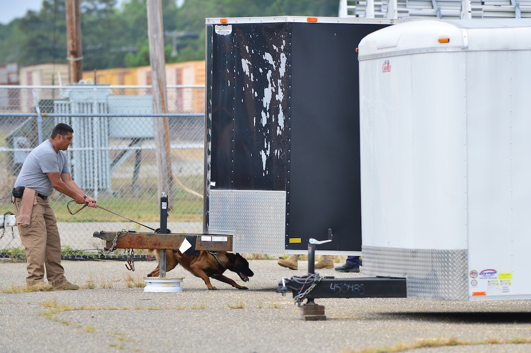 Quinton Stafford, Aegis explosives canine handler, walks Tor, explosives detection dog, through a detection course as part of a week-long explosive detection certification course at Fort Eustis, Va., Aug. 31, 2015. The 3rd Military Police Detachment hosted the course to ensure the contracted handlers and canines met military detection standards. (U.S. Air Force photo by Staff Sgt. Natasha Stannard/Released)
