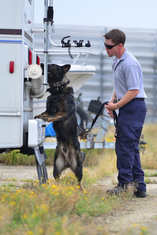 Cody Morris, Explosive Countermeasures International explosives canine handler, directs Orion, explosives detection dog, as he searches for mock explosives at Fort Eustis, Va., Aug. 31, 2015. After detecting threats, canines are trained to sit, signaling a located threat. (U.S. Air Force photo by Staff Sgt. Natasha Stannard/Released)