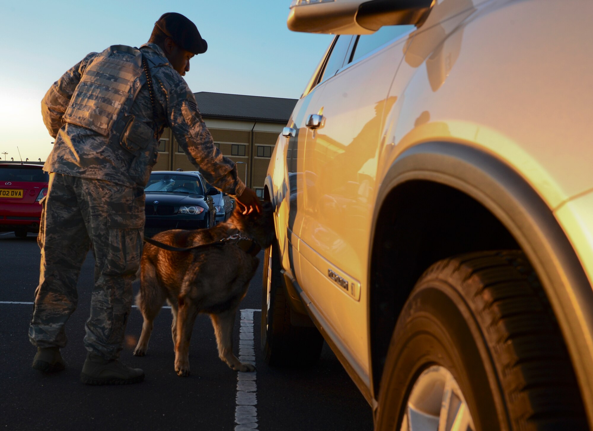 Staff Sgt. Anthony Peters, 48th Security Forces Squadron military working dog handler, and MWD Gina, conduct random detection training on a parked car at Royal Air Force Lakenheath, England, April 22, 2015. Gina recently faced a medical review board and, after careful examination, was cleared to return to active duty. (U.S. Air Force photo by Senior Airman Dawn M. Weber/Released)