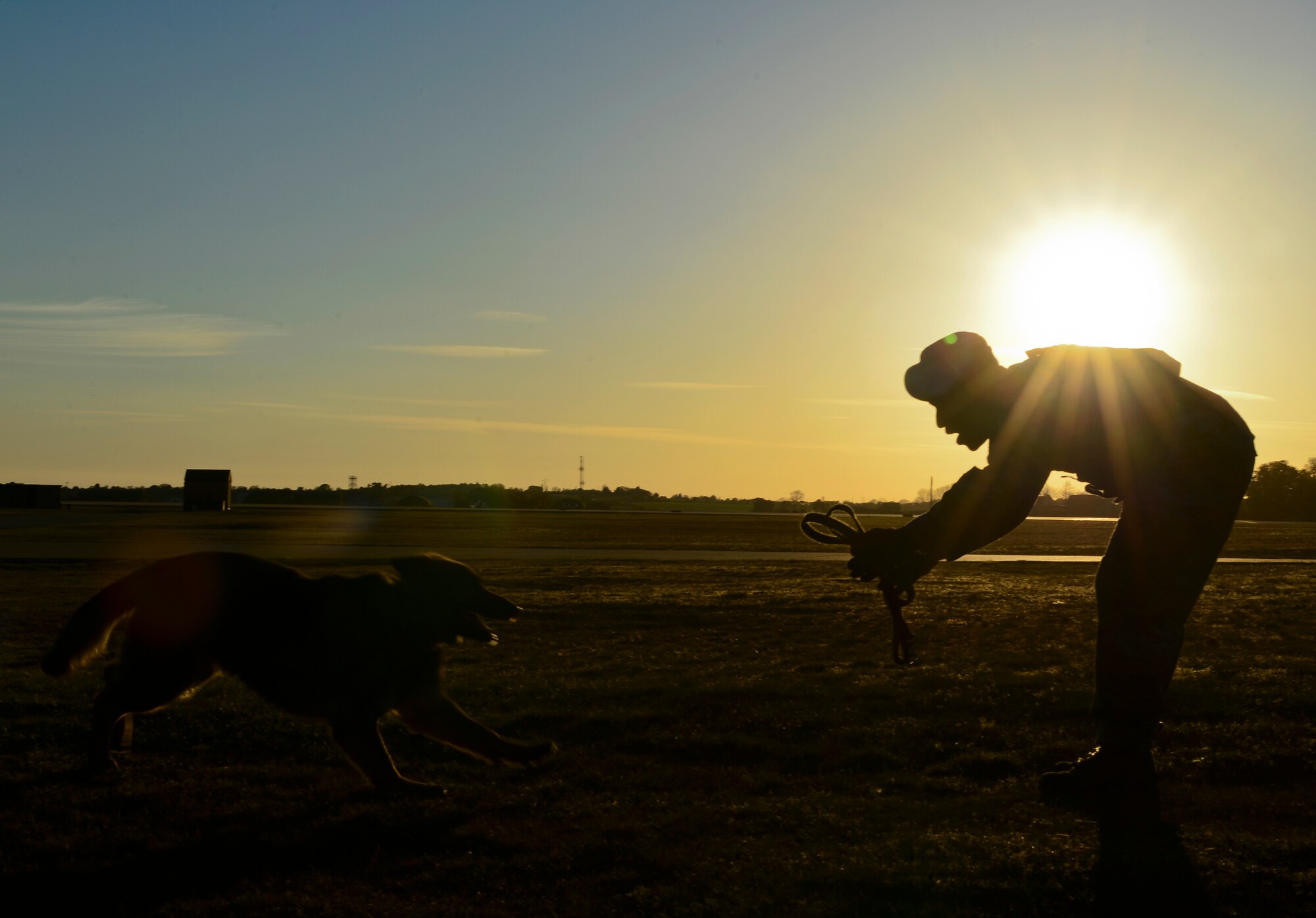 Staff Sgt. Anthony Peters, 48th Security Forces Squadron military working dog handler, and MWD Gina, play after a successful patrol at Royal Air Force Lakenheath, April 22, 2015. Gina recently faced a medical review board and, after careful examination, was cleared to return to active duty. (U.S. Air Force photo by Senior Airman Dawn M. Weber/Released) 