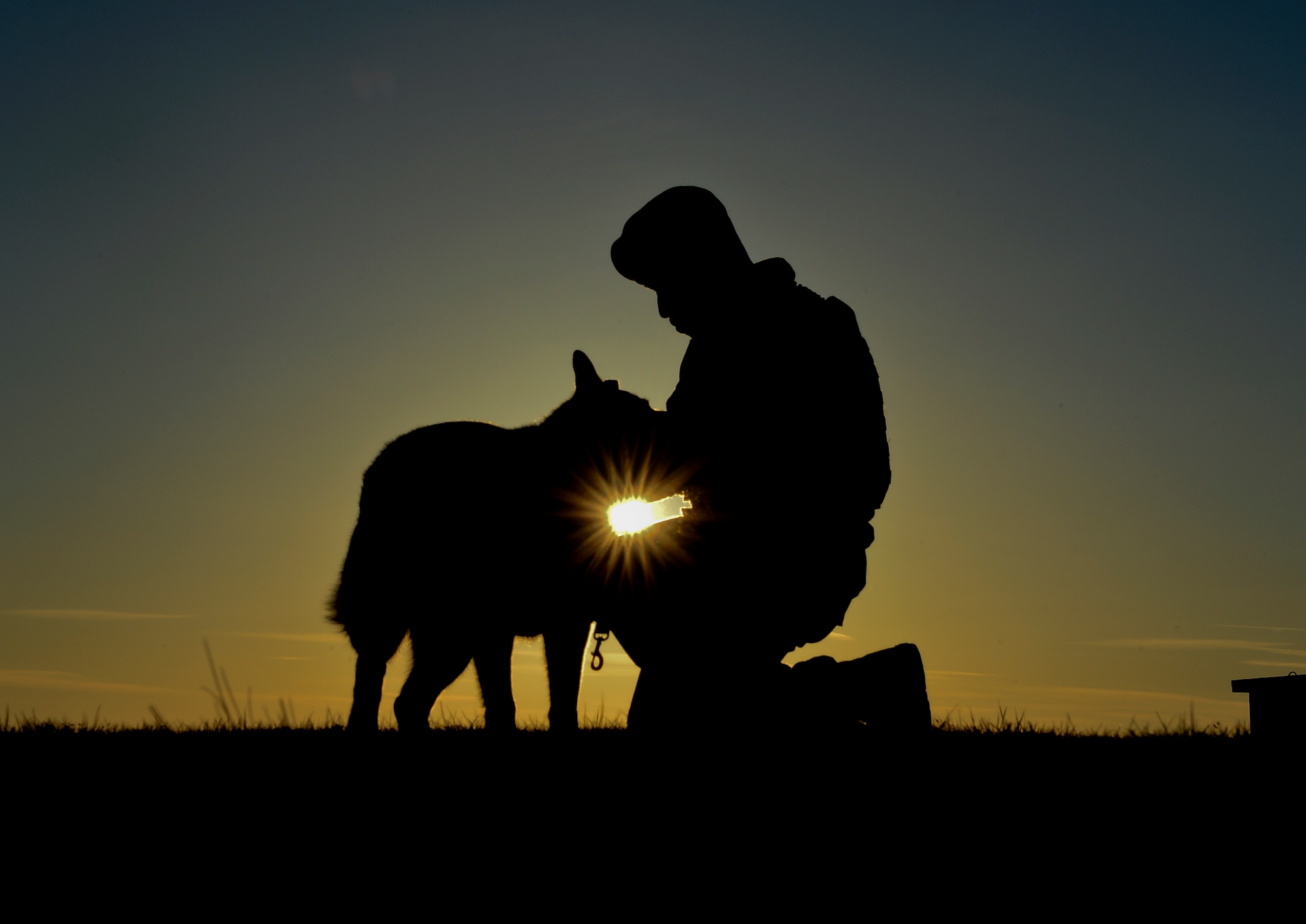 Staff Sgt. Anthony Peters, 48th Security Forces Squadron military working dog handler, praises MWD Gina after a successful patrol at Royal Air Force Lakenheath, England, April 22, 2015. Gina recently faced a medical review board and, after careful examination, was cleared to return to active duty. (U.S. Air Force photo by Senior Airman Dawn M. Weber/Released) 