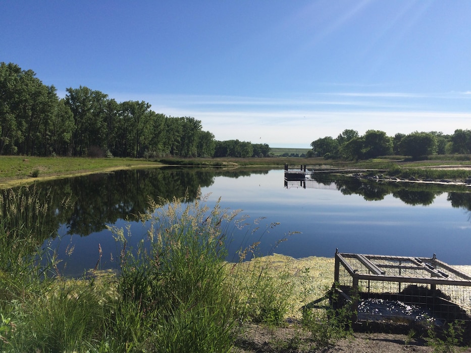 The trout pond near the Downstream Campground at Garrison Dam. The Trout Pond was renovated last year.