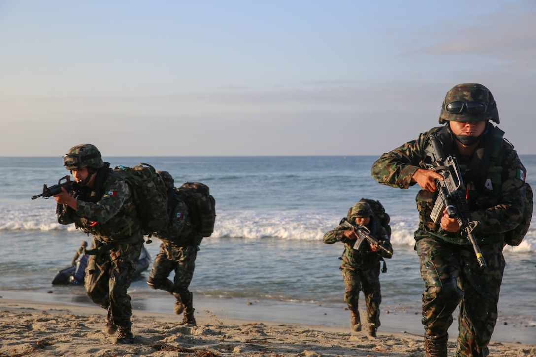 Marines with Zodiac Battalion, Mexican Naval Infantry Forces, storm the shoreline near San Onofre beach during an amphibious exercise as a part of Exercise Dawn Blitz 2015 aboard Marine Corps Base Camp Pendleton, Calif., Sept. 5, 2015. The purpose of DB15 is to establish strong relationships between coalition forces, to include Japan, Mexico and New Zealand to strengthen operations in joint amphibious environments.