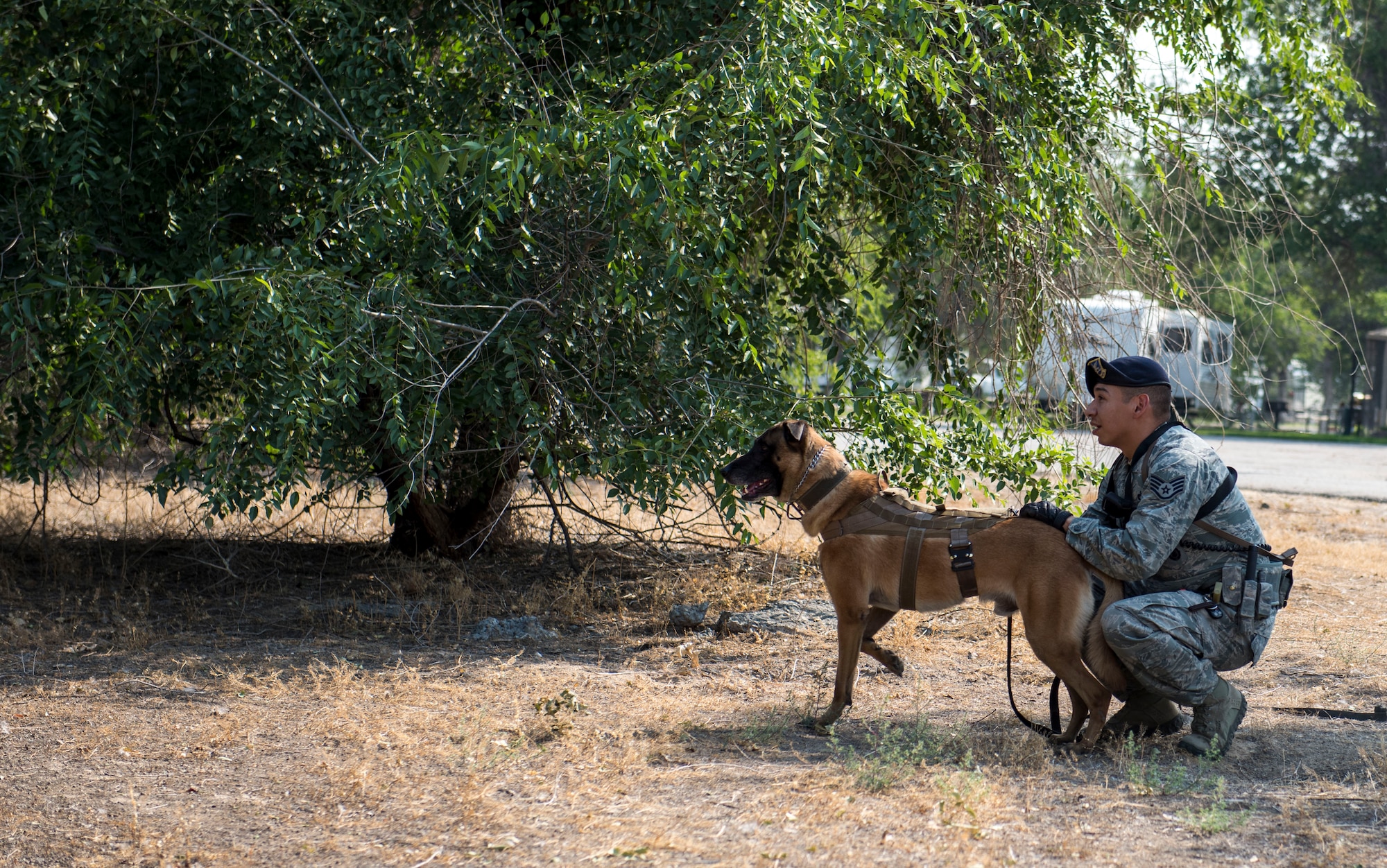 Staff Sgt. Lucas Medelez, 366th Security Forces Squadron military working dog handler, and Vvass, military working dog, take a moment to zone-in on the direction the sound is coming from during a sound scout Aug. 21, 2015 at Mountain Home Air Force Base, Idaho. (U.S. Air Force photo by Airman 1st Class Jeremy L. Mosier/RELEASED)