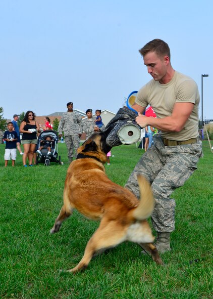 Staff Sgt. Craig Eveland, 436th Security Force Squadron military working dog handler, performs K-9 demonstrations with MWD Cuervo during the Emergency Management Block Party Sept. 3, 2015, on base housing at Dover Air Force Base, Del. September is National Preparedness Month and the K-9 demonstration gave Team Dover families the opportunity to interact with base law enforcement. (U.S. Air Force photo/Airman 1st Class William Johnson)