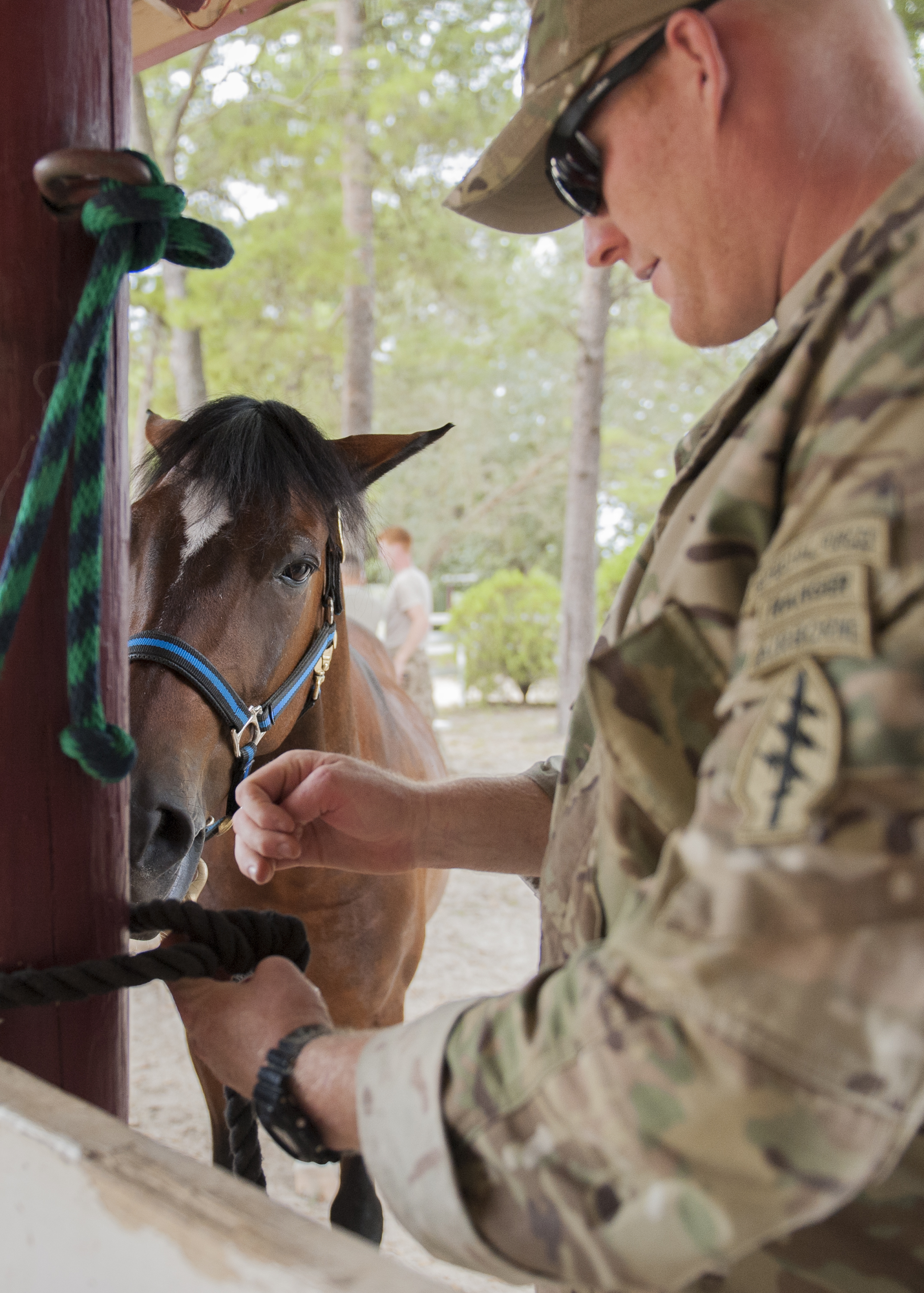 Soldier Train With Horses Learn Valuable Skills