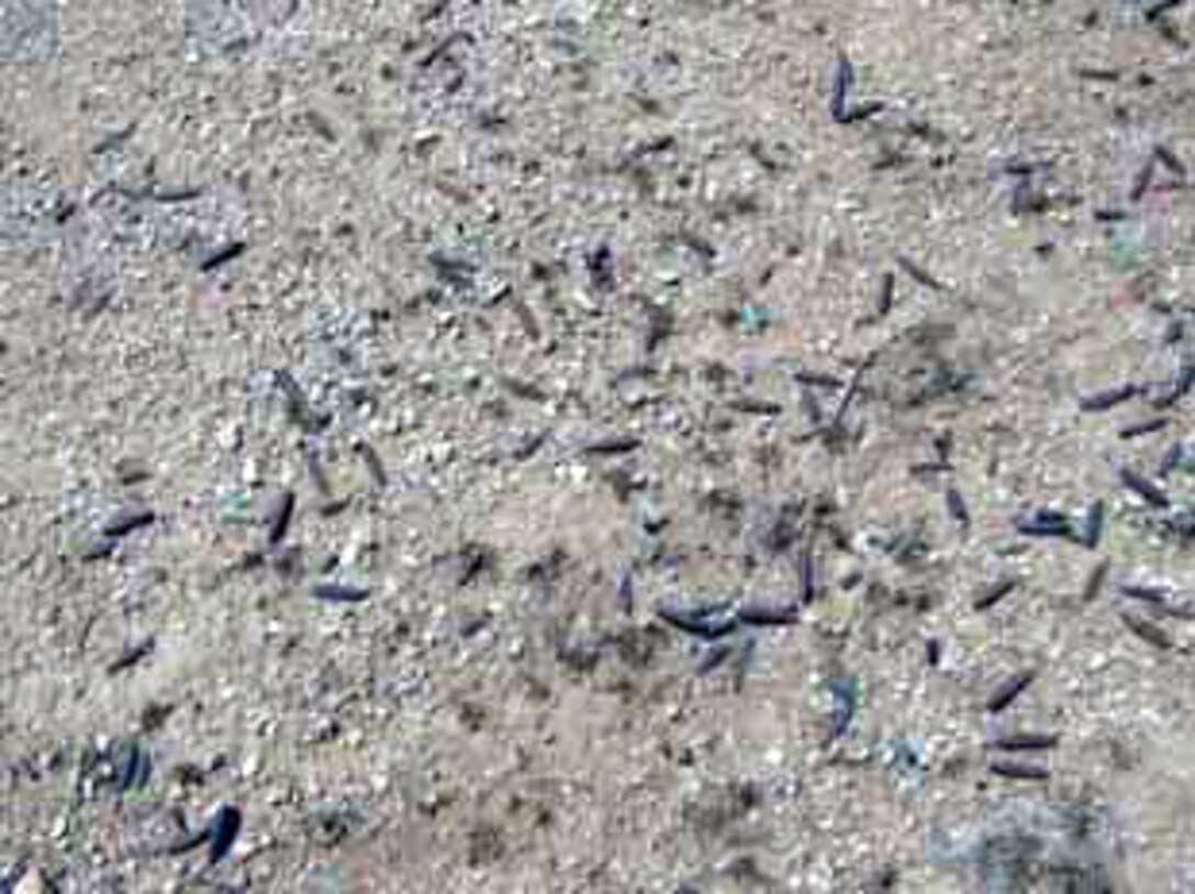 Projectiles on berm. Kingman GGGR
Source: U.S. Army Corps of Engineers. 