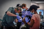New Zealand Defense Force Maj. (Dr.) Phil Worthington, northern region dental commander, right, extracts a tooth with the help of U.S. Air Force and Timorese service members during an Operation Pacific Angel 15-2 health services outreach, Sept. 7, 2015, in Baucau, Timor-Leste. Pacific Angel is a multilateral humanitarian assistance civil military operation, which improves military-to-military partnerships in the Pacific while also providing medical health outreach, civic engineering projects and subject matter exchanges among partner forces. 