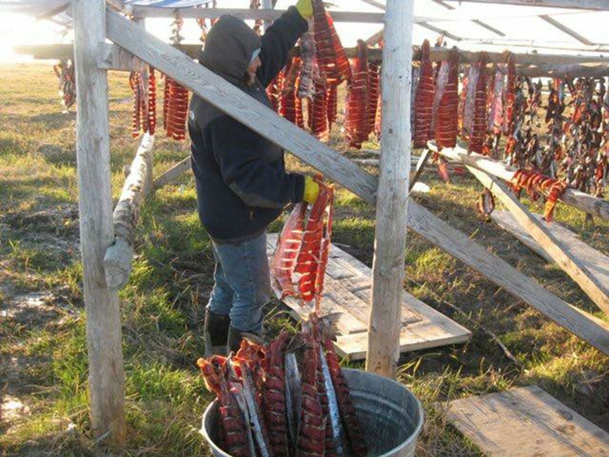 A Yup'ik native Caroline Ulak, mother of Senior Airman Janette Ulak, prepares to transfer the dried salmon in the smoke house. The Yup'ik natives relies on hunting, fishing and picking berries to provide for their families to survive. Janette Ulak is assigned to the 673d Dental Squadron. (Courtesy Photo)