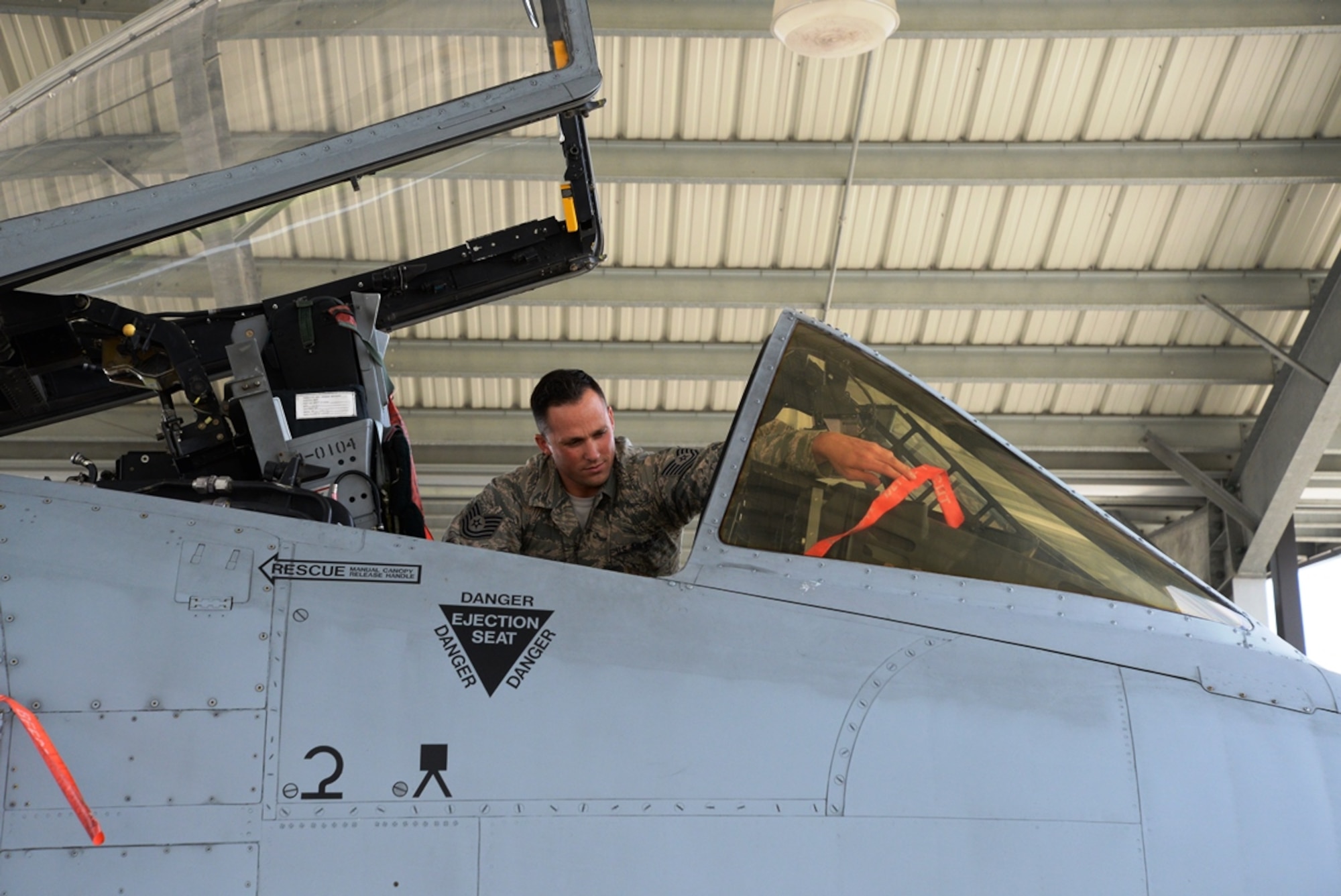 Tech. Sgt. Christipher R. Kelley, 175th Aircraft Maintenance Squadron, is the Maryland Air National Guard September Airman Spotlight. Here he gathers remove before flight flags from an A-10C Thunderbolt II June 7 at Warfield Air National Guard Base. (U.S. Air National Guard photo by Airman 1st Class Enjoli Saunders)
