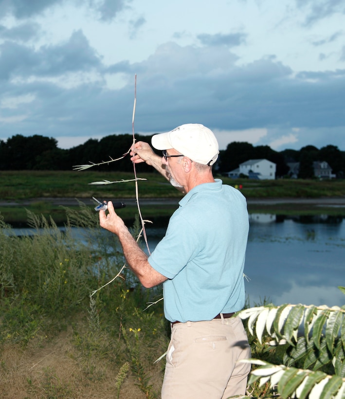 Larry Oliver discusses the different plant life found at the Broad Meadows Salt Marsh on August 24, 2015 in Quincy, Massachusetts.