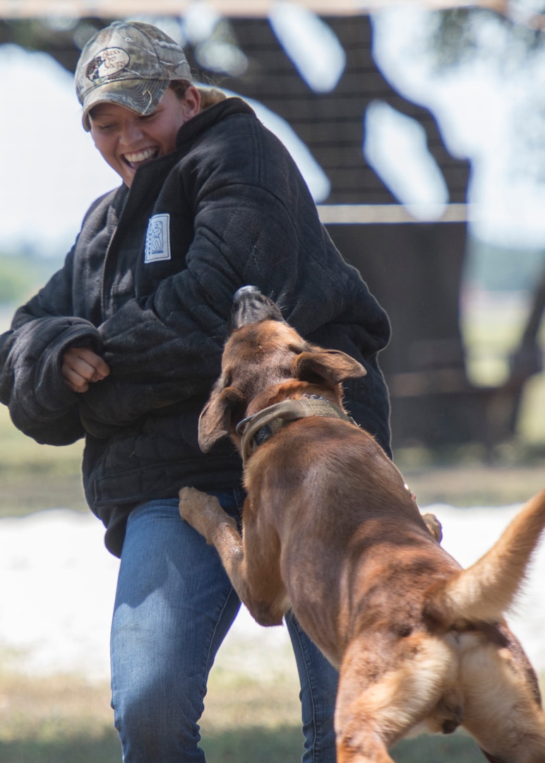 Airman 1st Class Victoria Dunning, 902nd Security Forces Squadron electronic security systems manager, demonstrates the attack capabilities of a military working dog during the Joint Base San Antonio-Randolph Battle of the Badges Sept. 12, 2015, at JBSA-Randolph. Battle of the Badges takes place each year to build camaraderie, espirit de corps and cohesion among JBSA first responders through various competitive challenges taken from their daily missions.