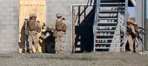 Marines with Company C, 1st Combat Engineer Battalion, 1st Marine Division, practice using detonation cord to breach doors during Exercise Pioneer Express aboard Marine Corps Base Camp Pendleton, Calif., Sept. 2, 2015. The exercise ensures that Marines and Sailors remain effective in increasingly complex environments through challenging training and detailed evaluation. (U.S. Marine Corps photo by Staff Sgt. Bobbie Curtis)