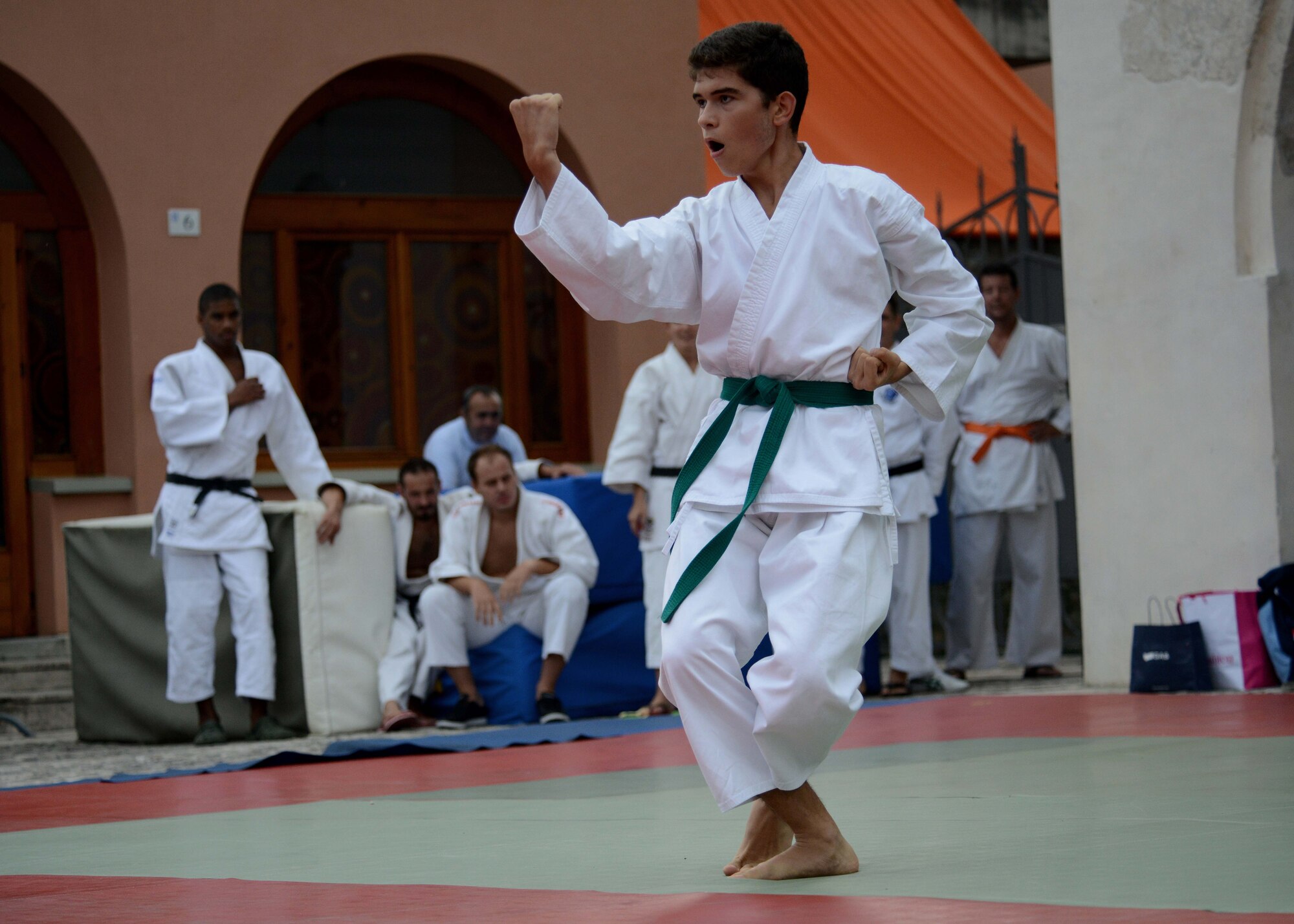 A young karate student demonstrates fundamentals during the Italian-American Friendship Festival, on Sept. 12, 2015, in Spilimbergo, Italy.  The festival allowed Team Aviano an opportunity to strengthen bonds with their host nation community. The event also included several demonstrations, food, sports tournaments, music and a ceremony. (U.S. Air Force photo by  Staff Sgt. Evelyn Chavez/Released)