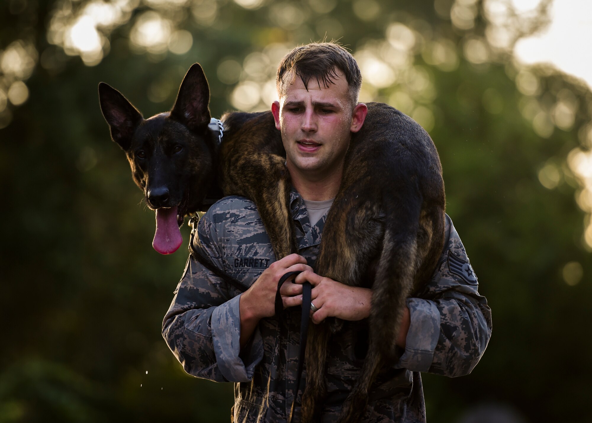 Staff Sgt. Andrew Garrett, 122nd Security Forces Squadron military working dog handler, carries his MWD during the 2015 Emerald Coast K-9 Clash, Sept. 4, 2015, at Hurlburt Field, Fla. The two-day competition began at dawn on Friday with the “Iron Dog” endurance event, which began with a 6-mile ruck march in which the dog handlers carried a heavy ruck sack on their backs. That challenge was followed by a 1.5-mile run, culminating with a 1-mile “buddy carry.” (U.S. Air Force photo by Senior Airman Ryan Conroy/Released)