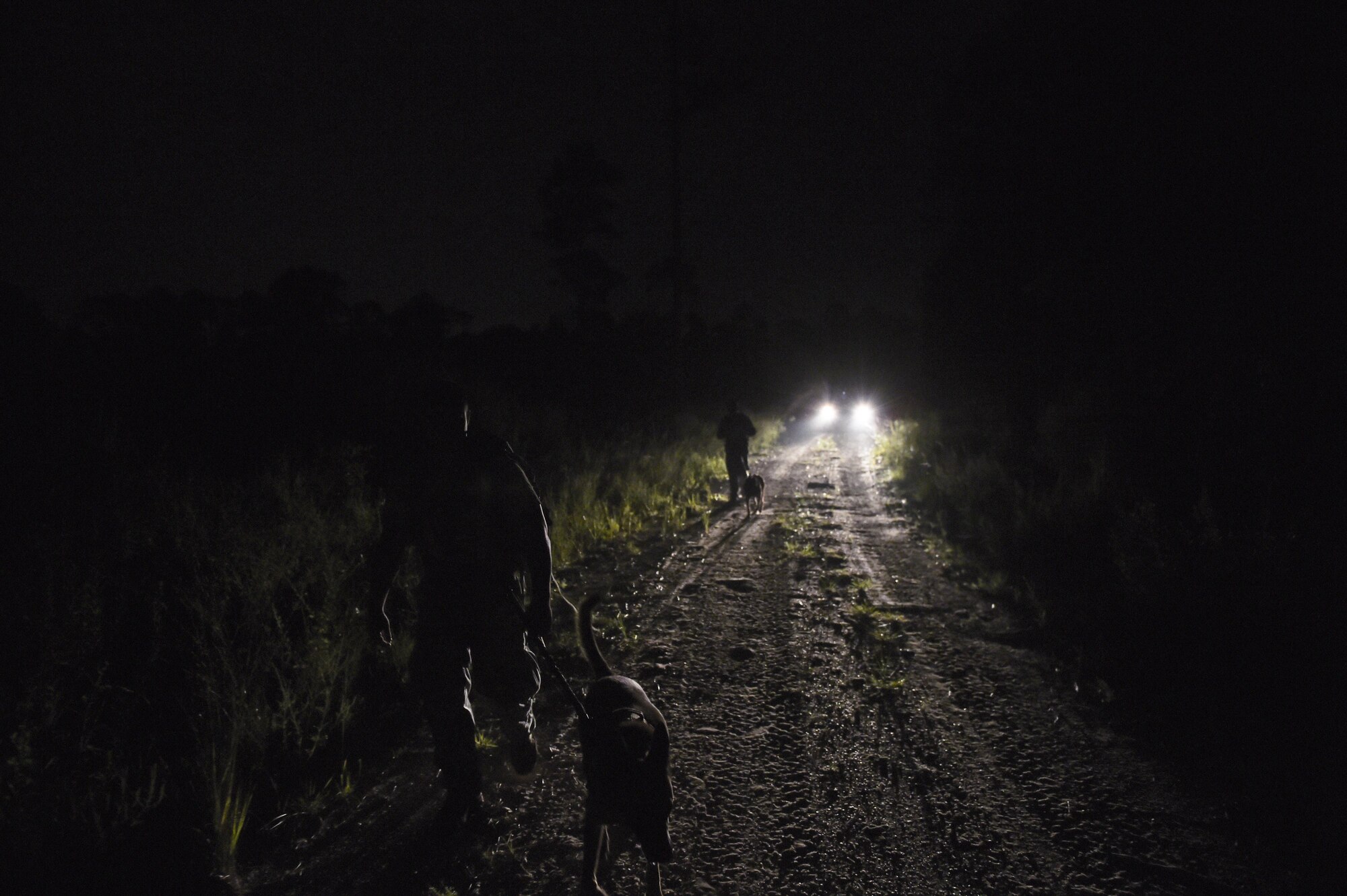 Military working dogs and their handlers ruck down a road, Sept. 4, 2015, at Hurlburt Field, Fla. The 2015 Emerald Coast K-9 Clash began at dawn on Friday with the “Iron Dog” endurance event, which began with a 6-mile ruck march in which the dog handlers carried a heavy ruck sack on their backs. That challenge was followed by a 1.5-mile run, culminating with a 1-mile “buddy carry.” (U.S. Air Force photo by Senior Airman Ryan Conroy/Released)
