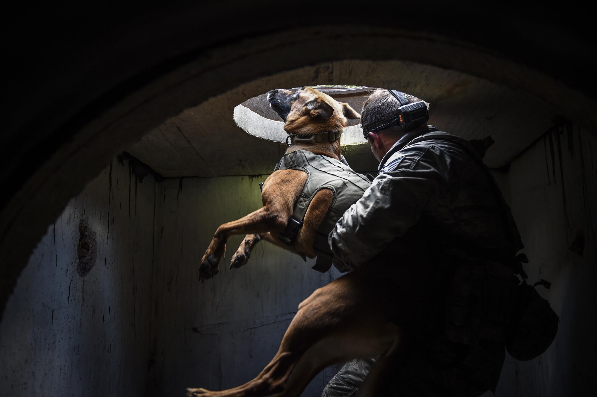 Staff Sgt. Justin Gooding, 1st Special Operations Security Forces Squadron military working dog handler, lifts MWD Eella through a sewer opening, Sept. 4, 2015, at Eglin Range, Fla. The 1st Special Operations Security Forces Squadron military working dog section hosted a two-day competition, where participants were judged on tactical obedience, building search techniques, scouting and controlled aggression to see who the overall team was. (U.S. Air Force photo by Senior Airman Ryan Conroy/Released) 