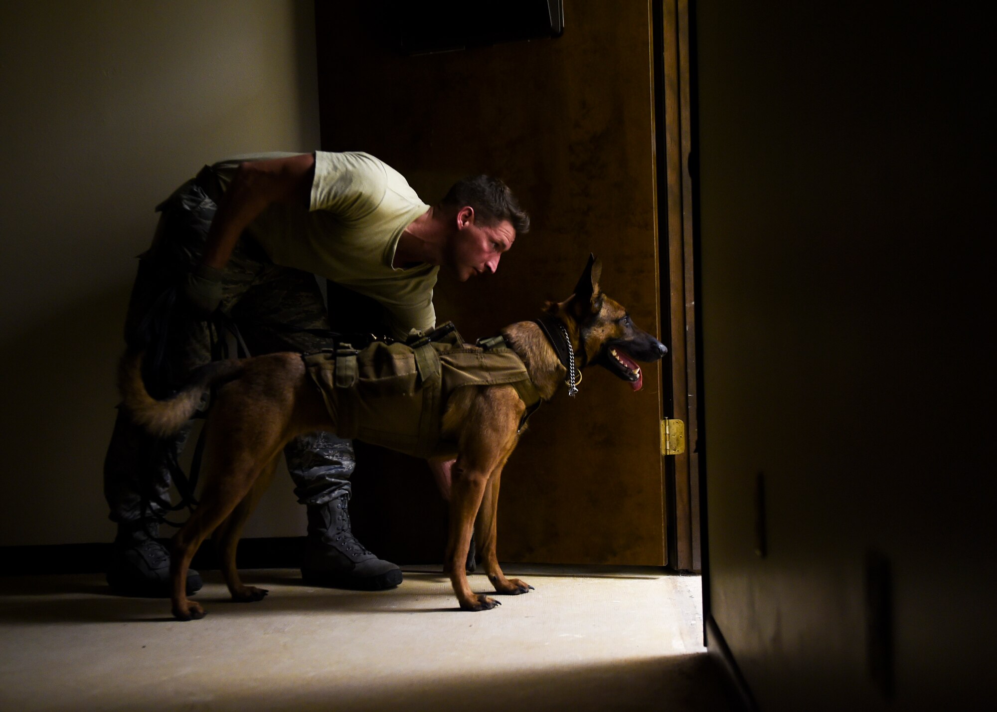 Senior Airman Jarred Dawson, 81st Security Forces Squadron military working dog handler, and MWD Qquarry, wait to clear a room during a building search, Sept. 4, 2015, at Hurlburt Field, Fla. The 1st Special Operations Security Forces Squadron military working dog section hosted a two-day competition, where participants were judged on tactical obedience, building search techniques, scouting and controlled aggression to see who the overall team was. (U.S. Air Force photo by Senior Airman Ryan Conroy/Released) 
