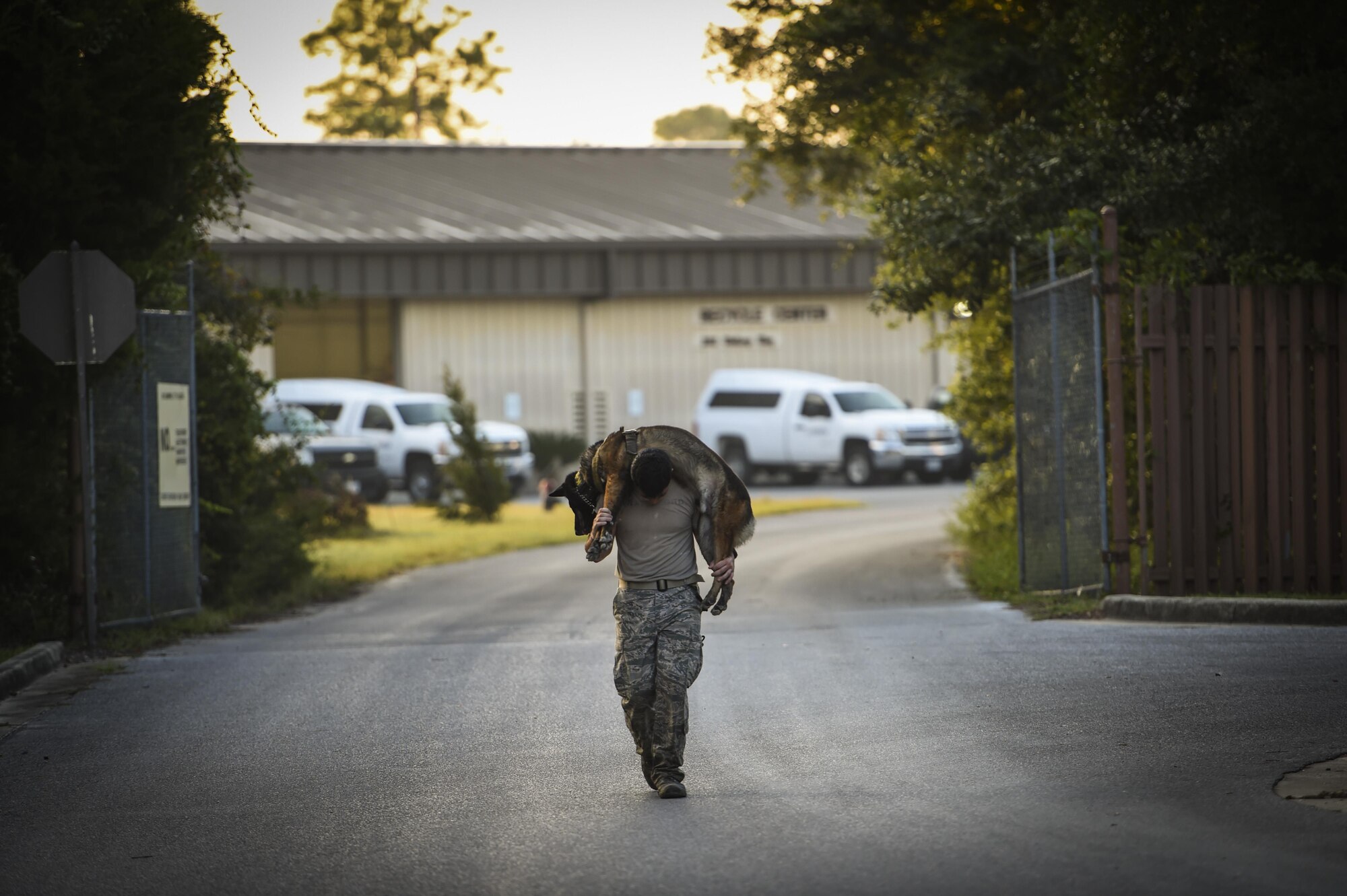 Staff Sgt. Andrew Garrett, 122nd Security Forces Squadron military working dog handler, carries his MWD during the 2015 Emerald Coast K-9 Clash, Sept. 4, 2015, at Hurlburt Field, Fla. The two-day competition began at dawn on Friday with the “Iron Dog” endurance event, which began with a 6-mile ruck march in which the dog handlers carried a heavy ruck sack on their backs. That challenge was followed by a 1.5-mile run, culminating with a 1-mile “buddy carry.” (U.S. Air Force photo by Senior Airman Ryan Conroy/Released)