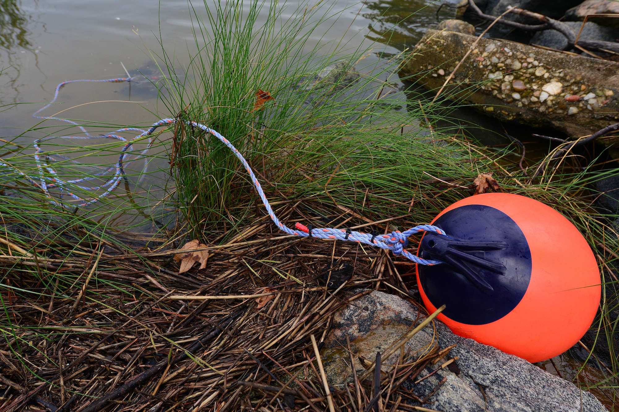 Department of Defense environmental prototype evaluators use a seismic sensor to collect seismic wave data for the DoD at Fort Eustis, Va., Sept. 10, 2015. The data will be used to determine natural phenomenology at military installations. (U.S. Air Force photo by Staff Sgt. Natasha Stannard/Released)