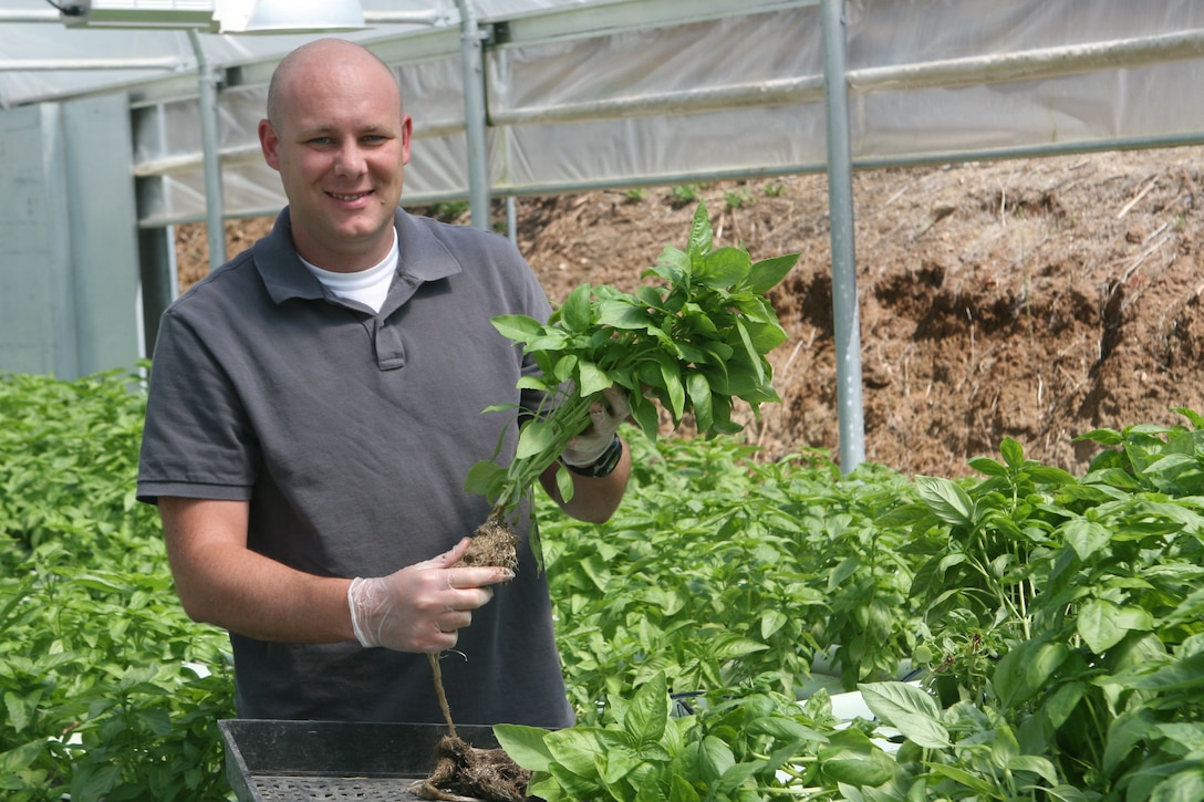 Navy Capt. Patrick Keplinger, a computer network service division officer with Headquarters and Headquarters Squadron and a Ukiah, Calif., native, shows off a plant in a hydroponic greenhouse at Archi's Acres in Escondido, Calif., Aug. 4, 2011. Keplinger completed the six-week Veterans Sustainable Agricultural Training program, which teaches veterans and active-duty service members irrigation and hydroponic farming.