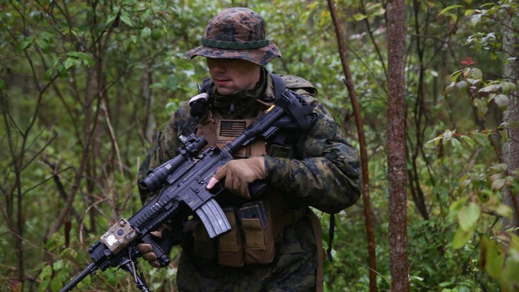 Lance Cpl. Edward Doyle, a rifleman with Co. C, 1st Battalion, 25th Marine Regiment, 4th Marine Division, Marine Forces Reserve, patrols through the woods during Exercise Lake Effect at Evangola State Park, New York, Sept. 12, 2015. Each platoon in Charlie. Co. set up their own patrol bases and routes which occasionally lead to confrontation with the other platoons, adding an element of realism to the training.