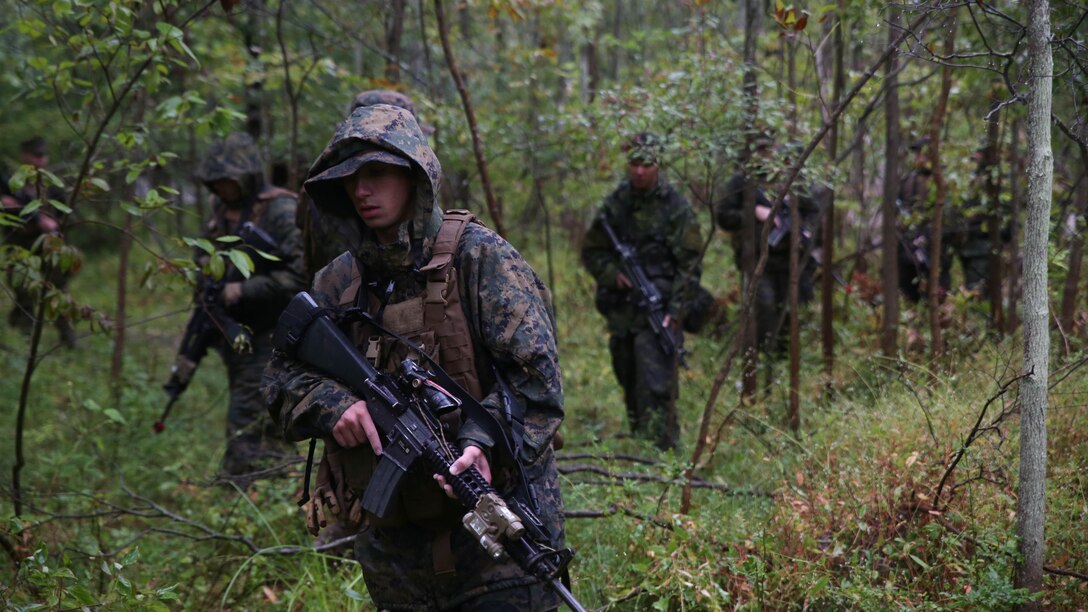 Marines with Co. C, 1st Battalion, 25th Marine Regiment, 4th Marine Division, Marine Forces Reserve, and members of the Canadian Army Royal Hamilton Light Infantry, Wentworth Regiment, conduct patrols at Evangola State Park, New York, during exercise Lake Effect, Sept. 12, 2015. The Canadians divided up among the Marine platoons to strengthen the interoperability amongst the services and learn new training techniques and tactics. 