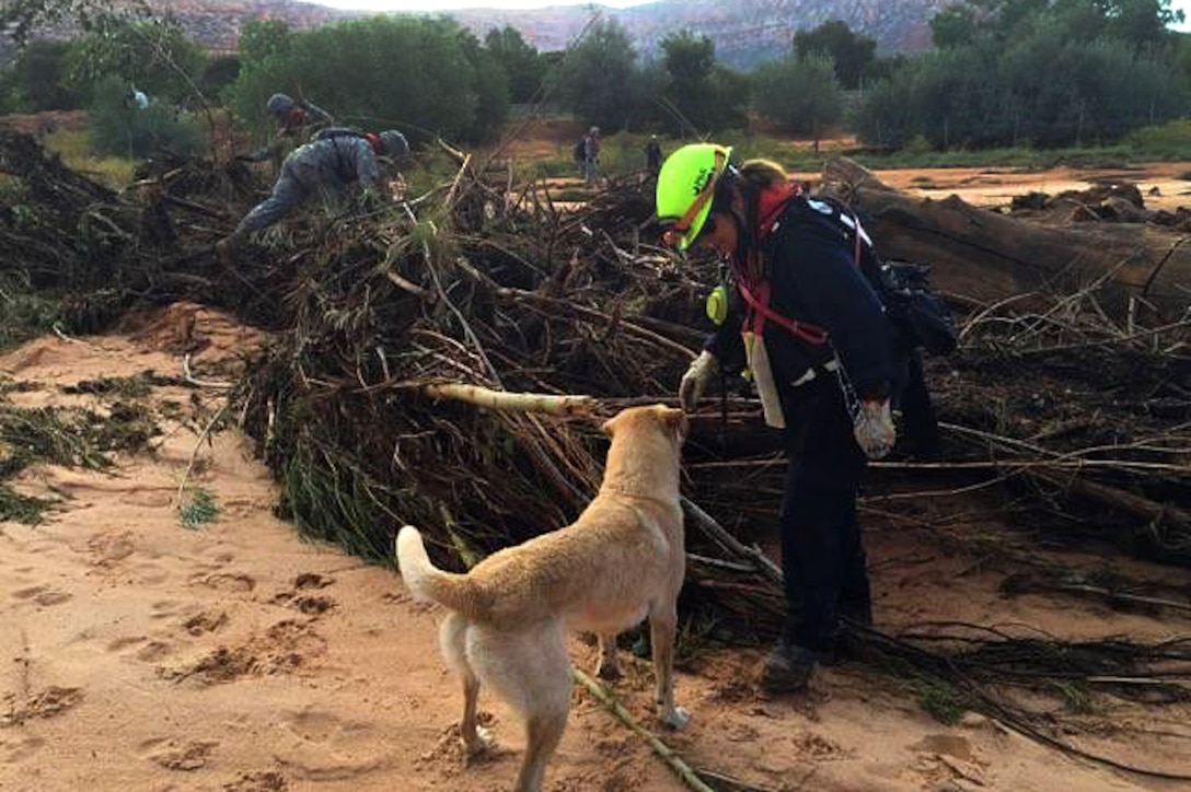 A local first responder, search dog and Utah Army National Guardsmen conduct their search and rescue efforts for survivors following the deadly flooding near the border town of Hildale, Utah, Sept. 16, 2015.