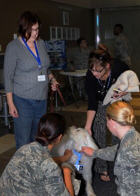 WRIGHT-PATTERSON AIR FORCE BASE, Ohio – Linda Pearson, a Miami Valley Pet Therapy Association member, speaks to three National Air and Space Intelligence Center (NASIC) employees at NASIC Wednesday, Sept. 16, 2015. Pearson introduced Bear, a 12-year-old therapy dog, and told the employees about his training requirements to be a certified pet therapy dog. The MVPTA makes regular stops at various locations around the base. (U.S. Air Force photo illustration by Staff Sgt. Marianne E. Lane)