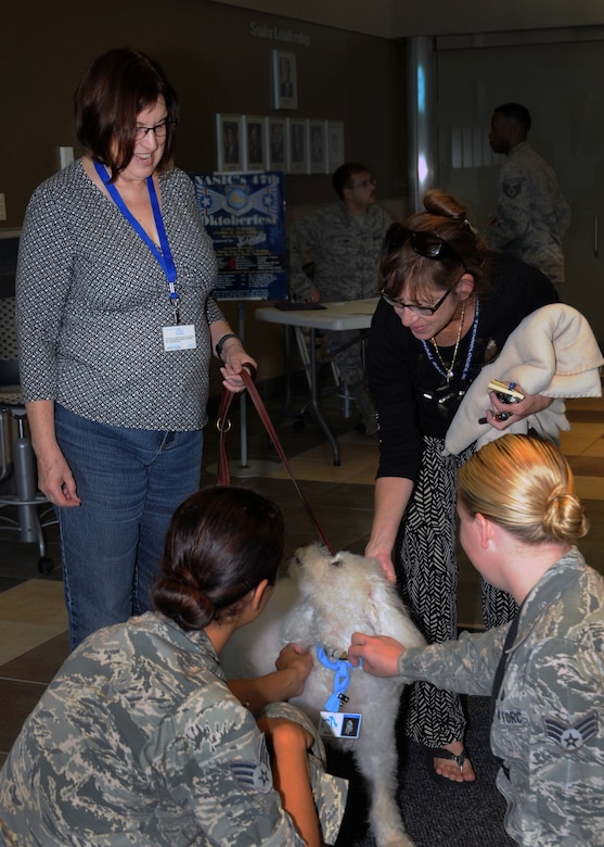 WRIGHT-PATTERSON AIR FORCE BASE, Ohio – Linda Pearson, a Miami Valley Pet Therapy Association member, speaks to three National Air and Space Intelligence Center (NASIC) employees at NASIC Wednesday, Sept. 16, 2015. Pearson introduced Bear, a 12-year-old therapy dog, and told the employees about his training requirements to be a certified pet therapy dog. The MVPTA makes regular stops at various locations around the base. (U.S. Air Force photo illustration by Staff Sgt. Marianne E. Lane)
