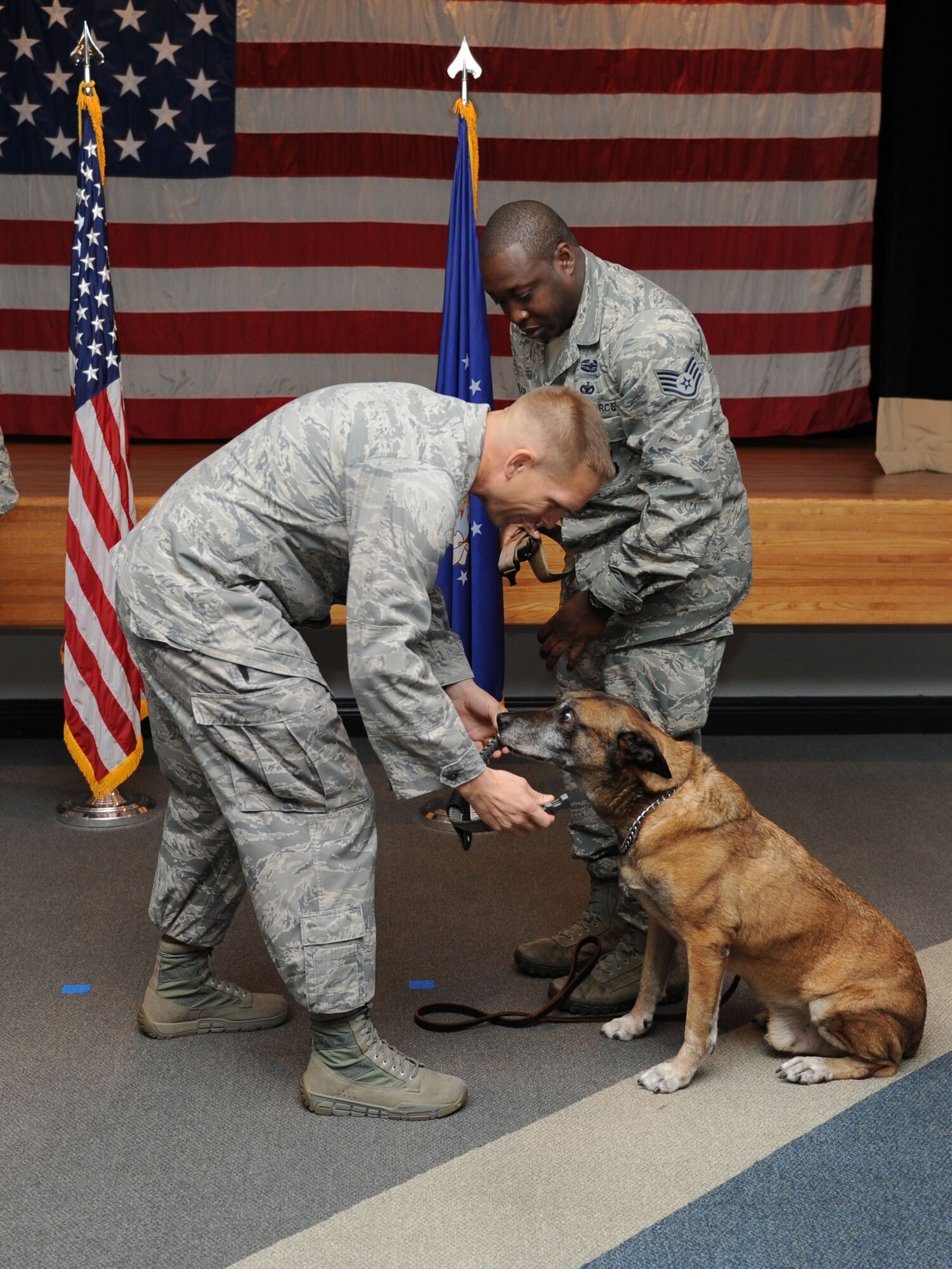 Maj. Devin Sproston, 81st Security Forces Squadron commander, replaces the collar of Carlos, 81st SFS military working dog, with a new one as Staff Sgt. Garth St. Clair, 81st SFS military working dog handler, assists during a retirement ceremony for Carlos Sept. 16, 2015, at the Don Wylie Auditorium, Keesler Air Force Base, Miss. Carlos was in the service for 11 years and served deployments in Afghanistan with a Navy SEAL unit; Iraq with a U.S. Army unit and three deployments with St. Clair. He has been adopted by St. Clair. (U.S. Air Force photo by Kemberly Groue)