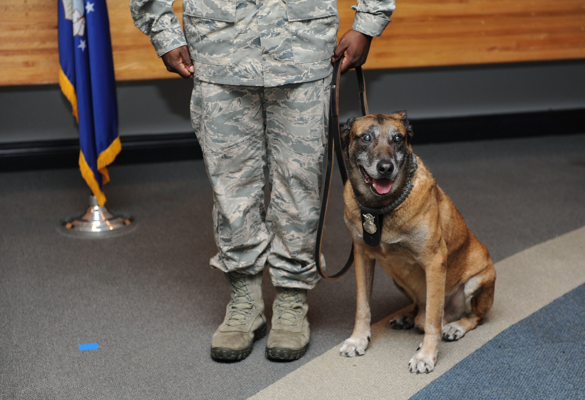 Carlos, 81st Security Forces Squadron military working dog, sits aside Staff Sgt. Garth St. Clair, 81st SFS military working dog handler, during Carlos’ retirement ceremony Sept. 16, 2015, at the Don Wylie Auditorium, Keesler Air Force Base, Miss. Carlos was in the service for 11 years and served deployments in Afghanistan with a Navy SEAL unit; Iraq with a U.S. Army unit and three deployments with St. Clair. He has been adopted by St. Clair. (U.S. Air Force photo by Kemberly Groue)