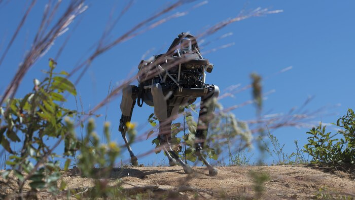 "Spot", a quadruped prototype robot, walks down a hill during a demonstration at Marine Corps Base Quantico, Va.,Sept. 16, 2015. Employees of the Defense Advanced Research Projects Agency trained Marines from the Marine Corps Warfighting Lab how to operate “Spot”.