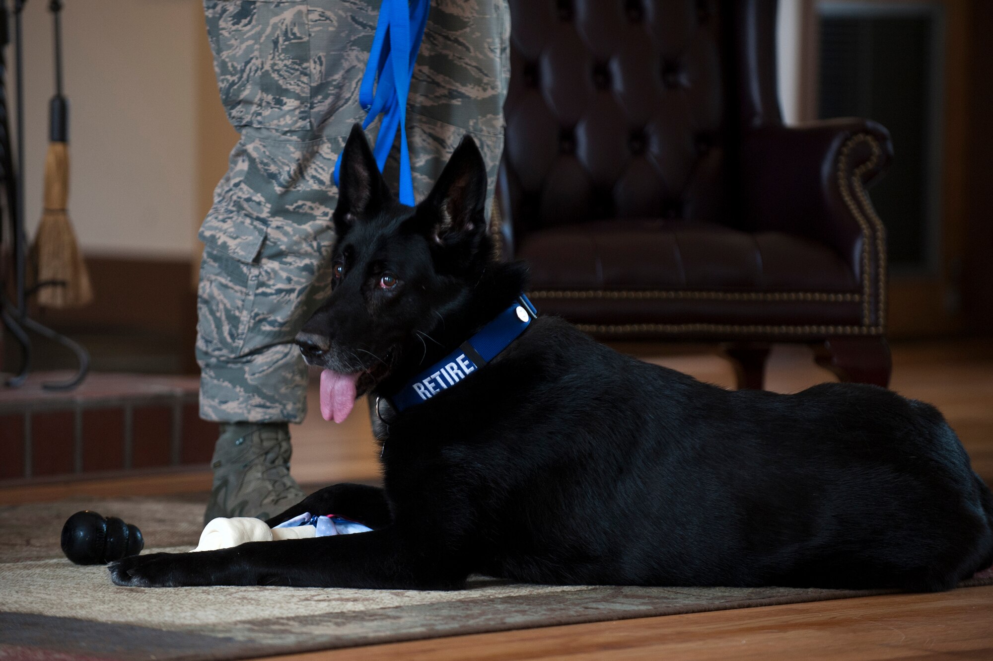 Military Working Dog Ficko rests during his retirement ceremony Sept. 15, 2015, at Moody Air Force Base, Ga. Ficko joined the Air Force in August 2005 when he was 6-months old at Lackland Air Force Base, Texas, and was assigned to Moody in September the same year. (U.S. Air Force photo by Airman 1st Class Kathleen D. Bryant/Released)
