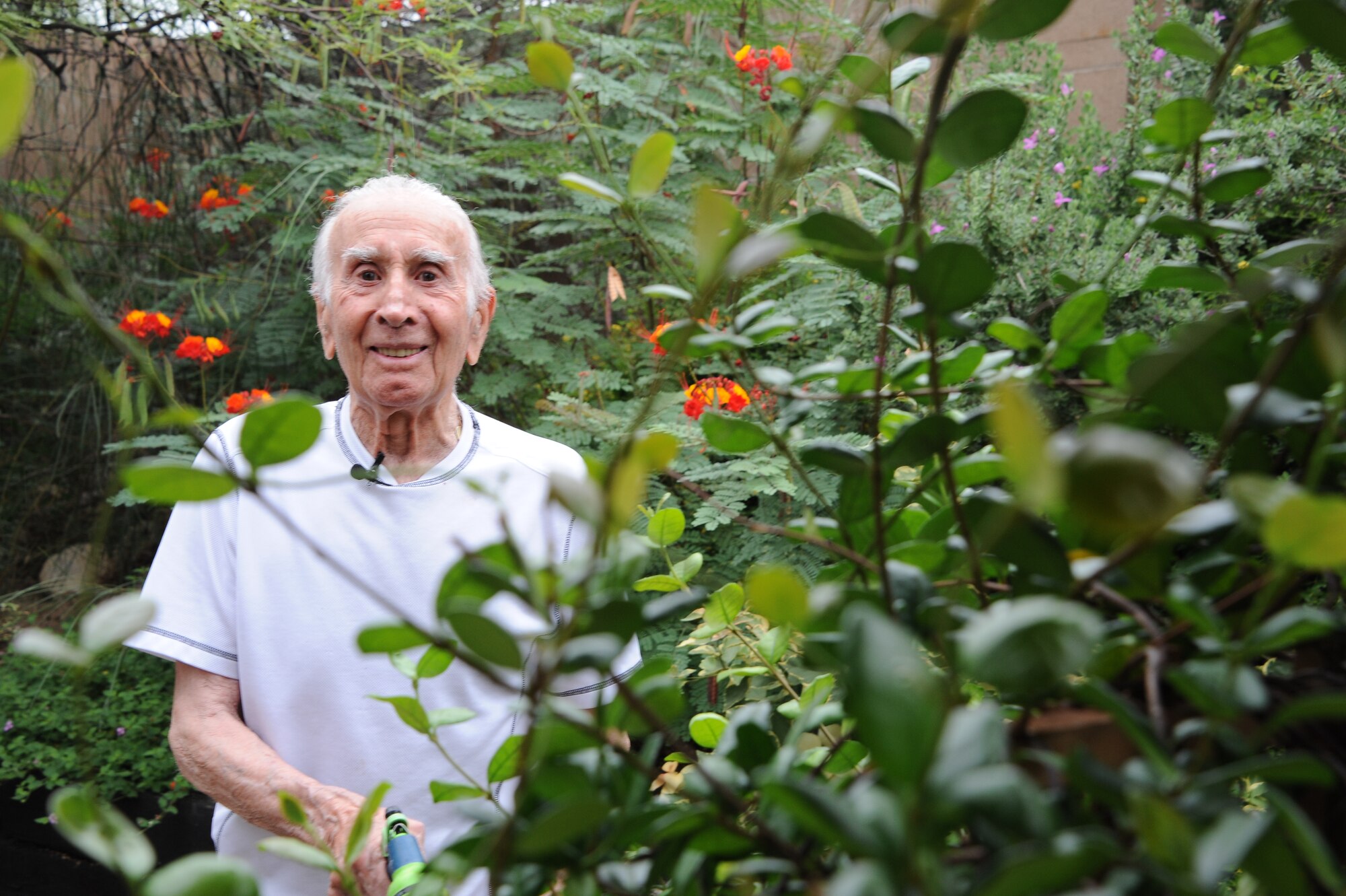 U.S. Army Pvt. Tony Gargano, World War II prisoner of war, waters flowers in his back yard in Tucson, Ariz., Sept. 10, 2015. Gargano keeps himself active and healthy by doing yard work and gardening each day, at the age of 92.  (U.S. Air Force photo by Airman 1st Class Ashley N. Steffen/Released)