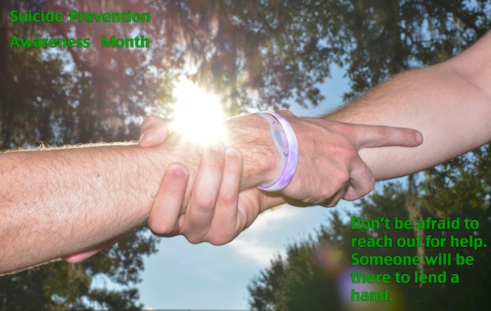 (U.S. Air Force graphic/Airman 1st Class Thomas T. Charlton)